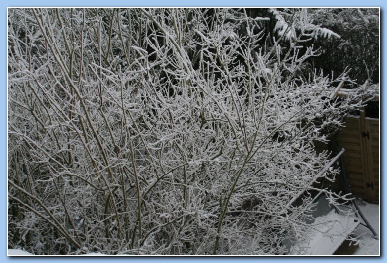 Arnhem Snow 081